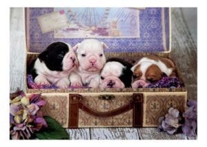 PUZZLE EDUCA X 500 CACHORROS COD 19007 - Imagen 2
