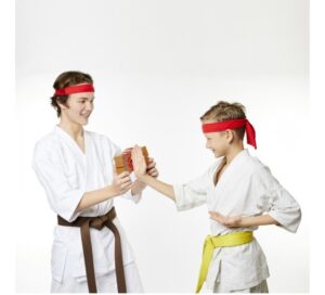 JUEGO DE KARATE BREAK THE BOARD ORIGINAL TV COD 20280 - Imagen 6