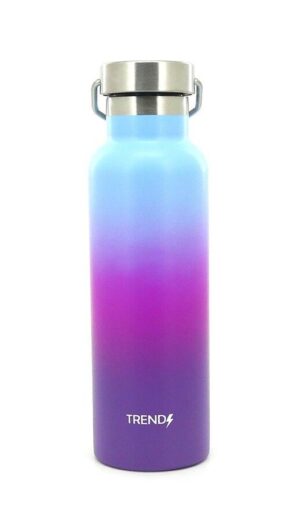 BOTELLA DEPORTIVA TRENDY ACERO INOXIBABLE 500 ML COD 12512