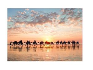 PUZZLE EDUCA X 1000 ATARDECER DORADO EN CABLE BEACH COD 18492 - Imagen 2